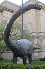 A statue of Diplodocus carnegiei in Pittsburgh, Pennsylvania.