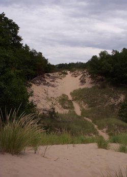 Parabolic dune partially stabilized by marram grass