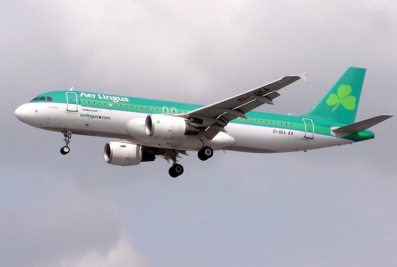 Image:Aer.lingus.a320-200.ei-dea.may06.arp.jpg