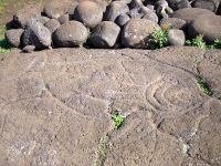 A petroglyph found near Ahu Tongariki