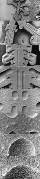 Image:LT-SEM snow crystal magnification series-3.jpg