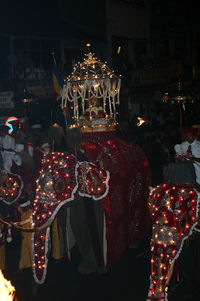 Elephants at the Esala Perahera