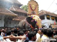 An elephant carrying Thidambu during Thrissur Pooram festival in Kerala, south India