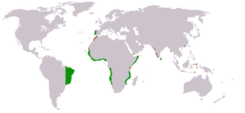 Image:Portuguese Empire map.jpg
