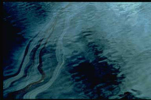 During the first few days of the Exxon Valdez oil spill, heavy sheens of oil covered large areas of the surface of Prince William Sound.