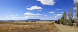 Fields outside Benambra, Victoria suffering from drought conditions