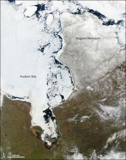 In late spring (May), large chunks of ice float near the eastern shore of the bay, while to the west, the center of the bay remains frozen. Between 1971 and 2003, the length of the ice-free season in the southwestern part of the Hudson Bay—historically the last area to thaw—had increased by about 3 days.