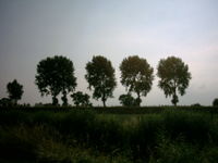 Landscape of Bachten de Kupe, in West Flanders