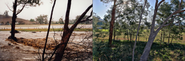 On the left is a photo taken during the 1998 floods in Swifts Creek in Australia. On the right is the same location 8 years later