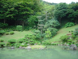The garden of a Japanese Buddhist temple.