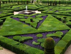 French formal garden in the Loire Valley.