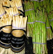 White asparagus (left) and green asparagus (right)
