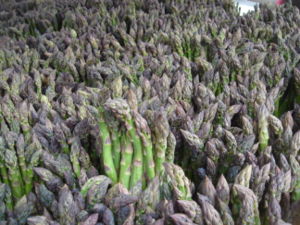 Green asparagus on sale in New York City