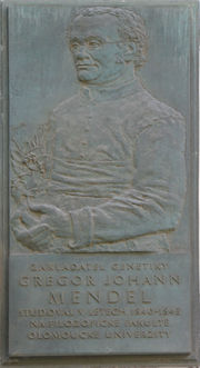 Johann- memorial plaque in Olomouc