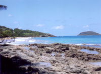 Beach in Guadeloupe