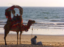 Camel ride on a Karachi beach