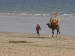 KANUPP beach from the eyes of Zuhair siddiqui