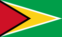 Flag of Guyana