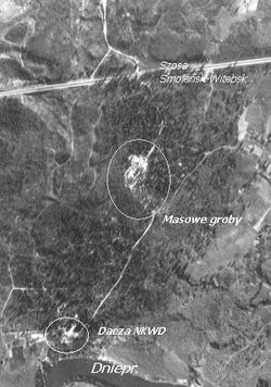 Aerial photo (October 13, 1943). Center (circled): mass graves. Top: Smolensk-Vitebsk highway. Bottom: NKVD dacha (circled); below it, Dnieper River.