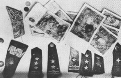 Polish currency and military insignia from the mass graves.