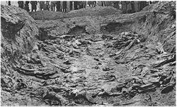 Largest of the Katyn mass graves
