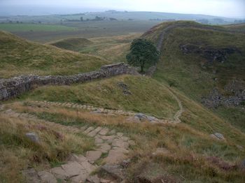 Sycamore Gap (the "Robin Hood Tree")