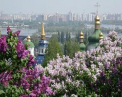 Lilacs in the Central Botanical Garden, with Vydubychi Monastery and the Left Bank of Kiev in the background. Photo copyright R. Lezhoev