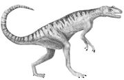 An artist's impression of Herrerasaurus.