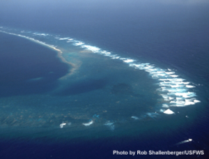 southeast part of Kingman Reef, looking north