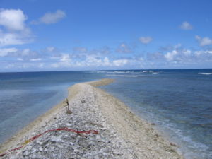 Kingman Reef October 2003