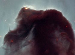 The Horsehead Nebula, selected by the public to be observed by Hubble for its 11th anniversary