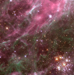 A WFPC2 image of a small region of the Tarantula Nebula in the Large Magellanic Cloud