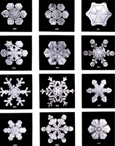 Snowflakes by Wilson Bentley, 1902