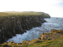 Cliffs at the island of Grímsey, on the Arctic Circle.