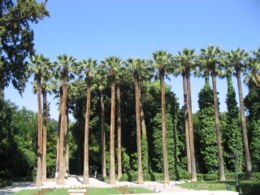 National Gardens  Designed by Amalia, the first Queen of Greece, it is an oasis in Central Athens