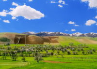 Hills south west of Sanandaj near the village of Kilaneh, Kurdistan Province.