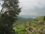 Landscape in the Golan Heights.