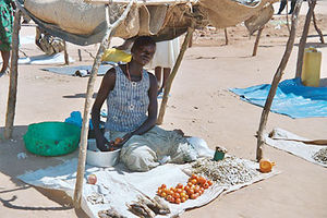 A market stall in an IDP camp