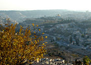 A view from Mount Scopus