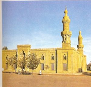 The Mosque of Khartoum.