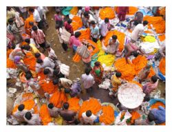 Vendors selling flowers in a market 