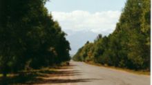 A road near Bishkek