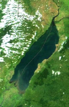 Lake Albert - Lake Albert on a 2002 NASA MODIS satellite picture. The dotted grey line is the border between Congo (DRC) (left) and Uganda (right).