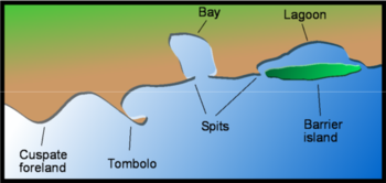 Coastal and oceanic landforms.