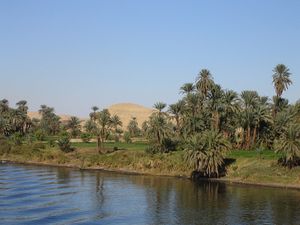 The riches of the Nile captured Manuel's imagination.  Due to a failure of the Crusaders and the Byzantines to co-operate, the conquest of Egypt was unsuccessful.