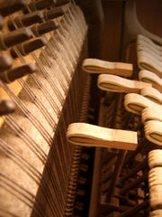 Interior of an upright piano, showing the felt-covered hammers.  The tuning pins can be seen at upper left.  In the treble range shown, each note has three strings.