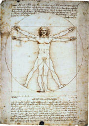 The Vitruvian Man, Leonardo's study of the proportions of the human body.