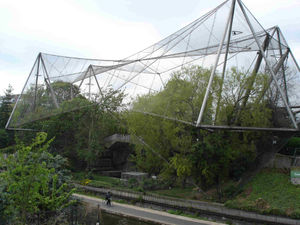 The giant London Zoo aviary