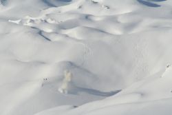 Avalanche blasting in French ski resort Tignes (3,600 m)