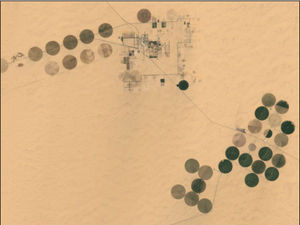 High-altitude aerial view of irrigation in the Heart of the Sahara ( 22°16′21″N, 28°44′55″E)